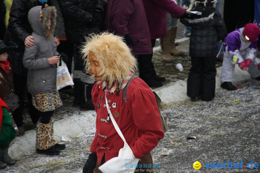 Narrentreffen: Rielasingen am Bodensee, 29.01.2012