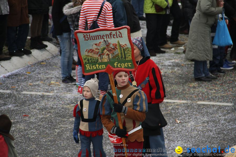 Narrentreffen: Rielasingen am Bodensee, 29.01.2012