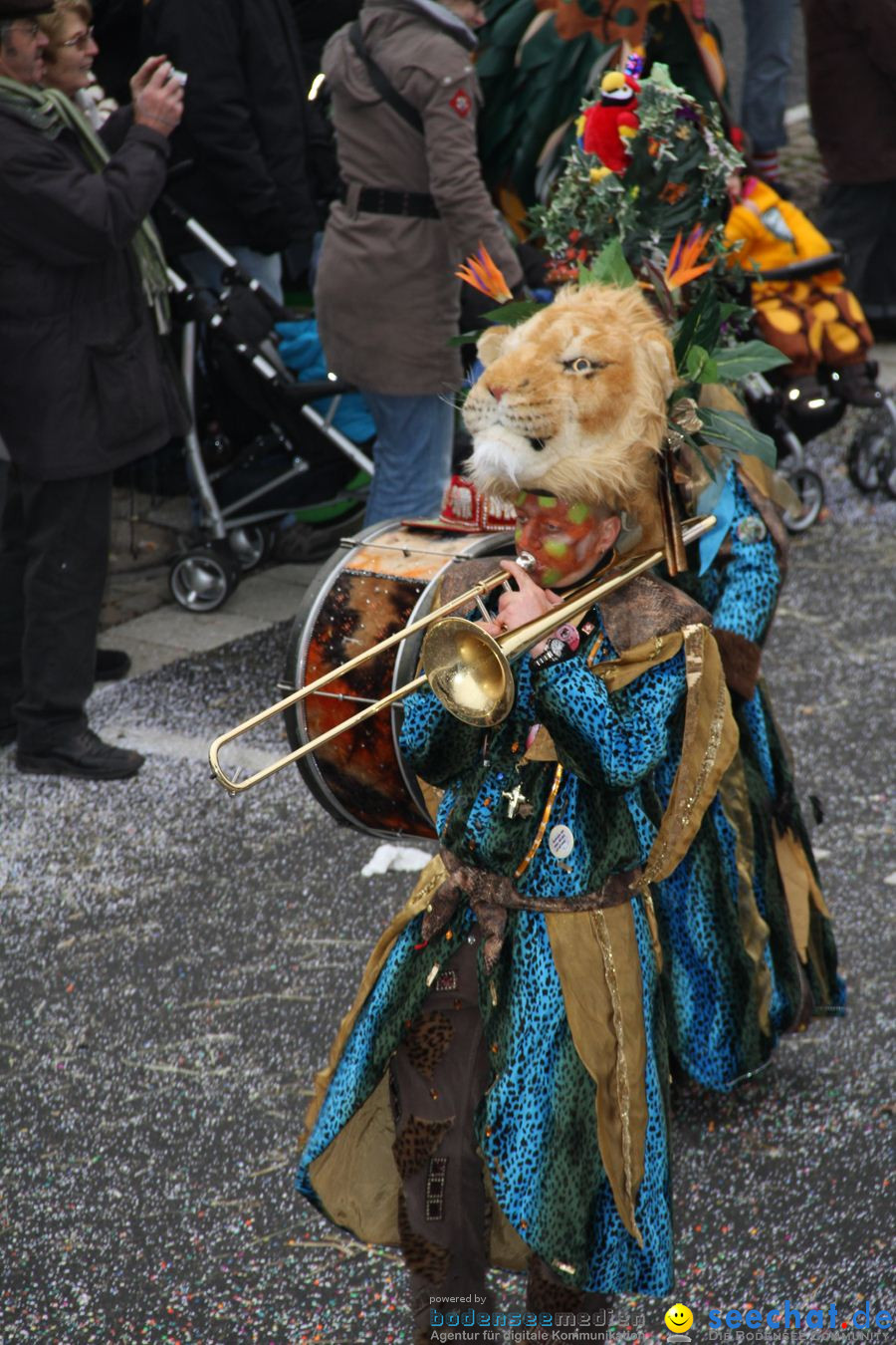 Narrentreffen: Rielasingen am Bodensee, 29.01.2012