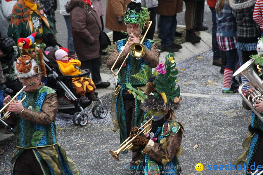 Narrentreffen: Rielasingen am Bodensee, 29.01.2012