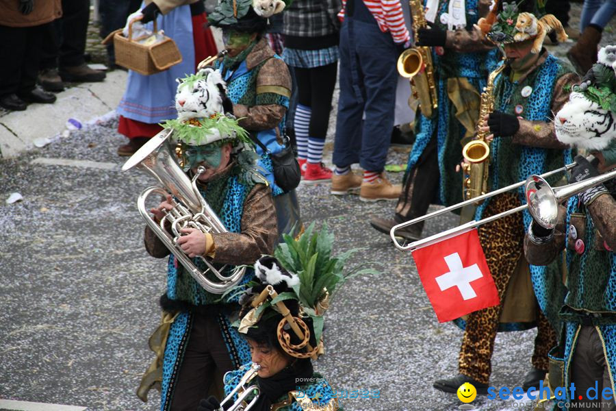 Narrentreffen: Rielasingen am Bodensee, 29.01.2012