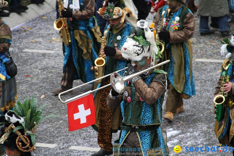 Narrentreffen: Rielasingen am Bodensee, 29.01.2012