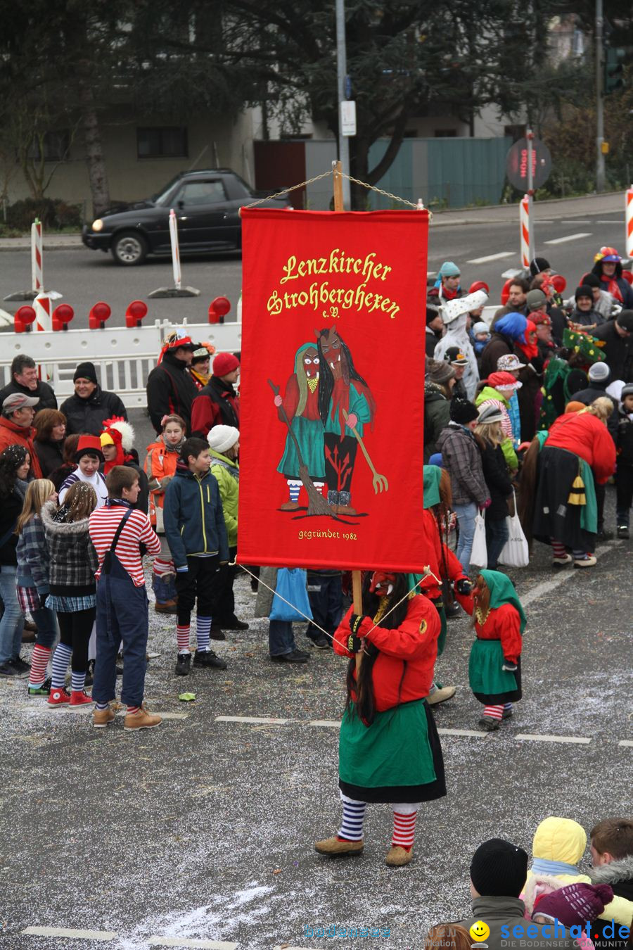 Narrentreffen: Rielasingen am Bodensee, 29.01.2012