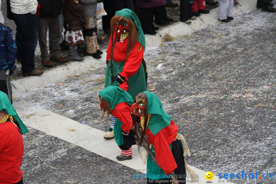 Narrentreffen: Rielasingen am Bodensee, 29.01.2012