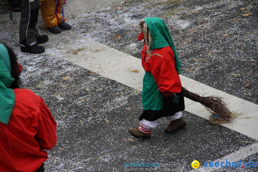 Narrentreffen: Rielasingen am Bodensee, 29.01.2012