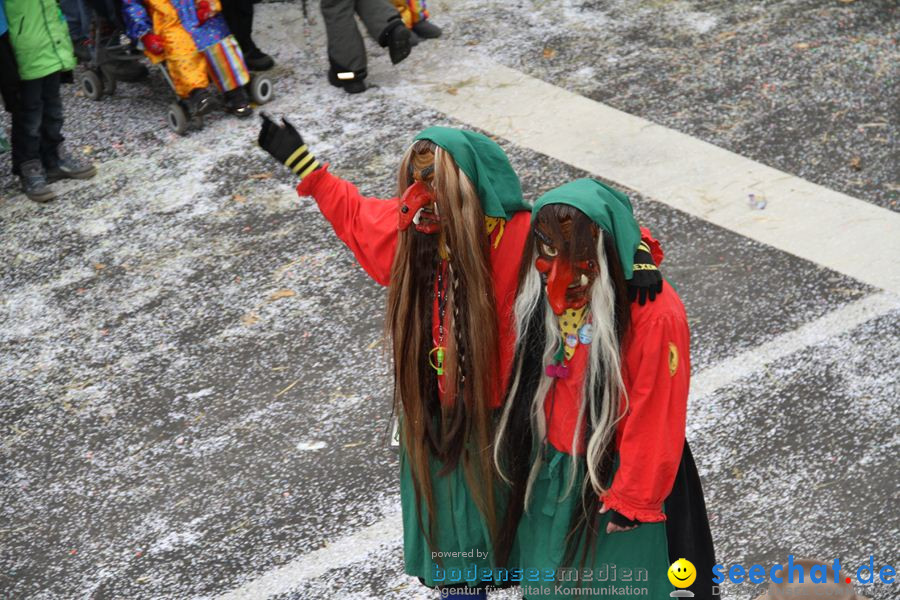 Narrentreffen: Rielasingen am Bodensee, 29.01.2012