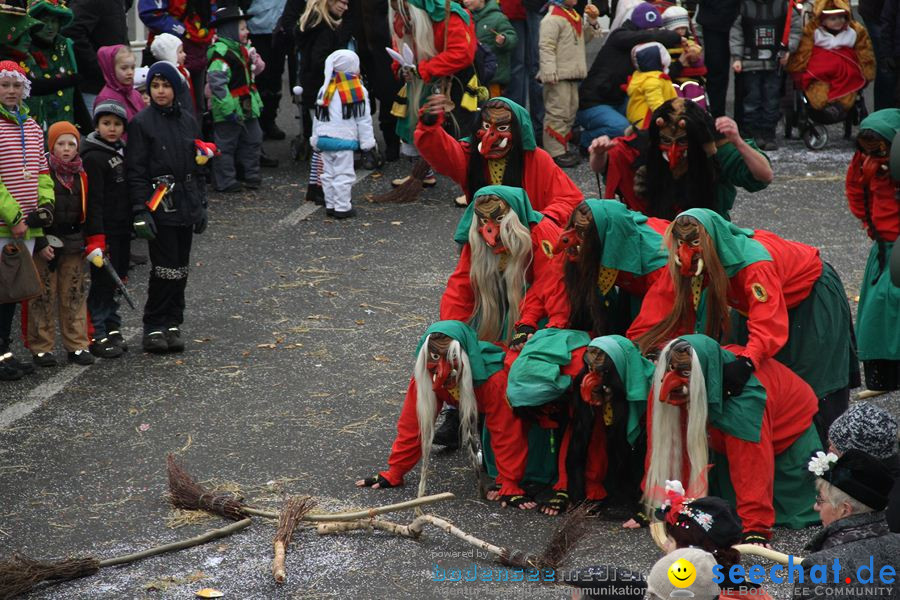 Narrentreffen: Rielasingen am Bodensee, 29.01.2012