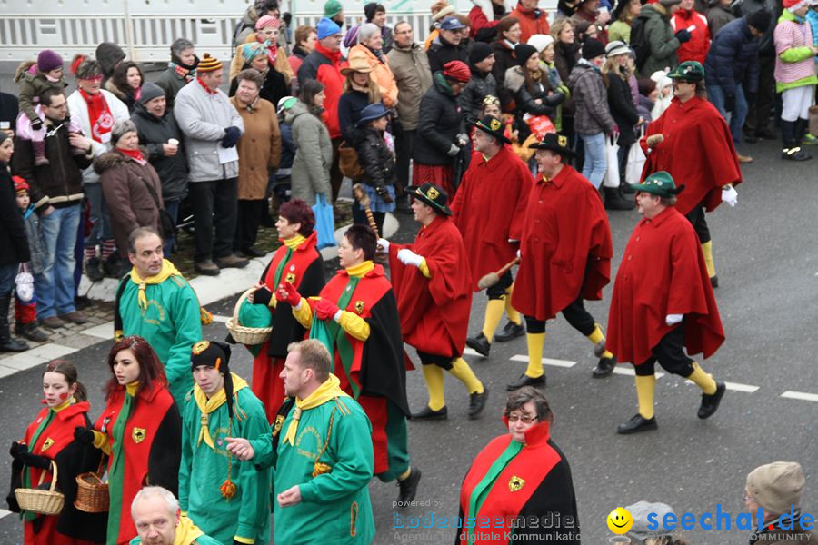 Narrentreffen: Rielasingen am Bodensee, 29.01.2012