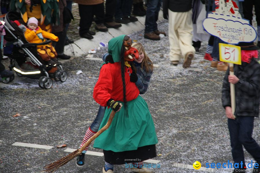 Narrentreffen: Rielasingen am Bodensee, 29.01.2012