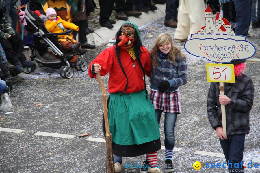 Narrentreffen: Rielasingen am Bodensee, 29.01.2012