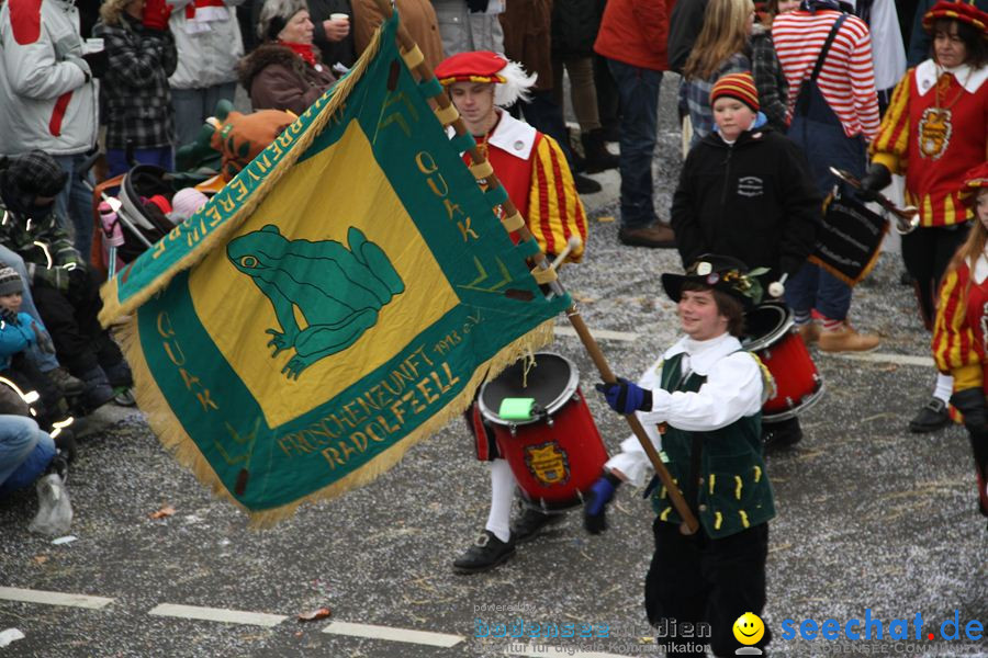 Narrentreffen: Rielasingen am Bodensee, 29.01.2012