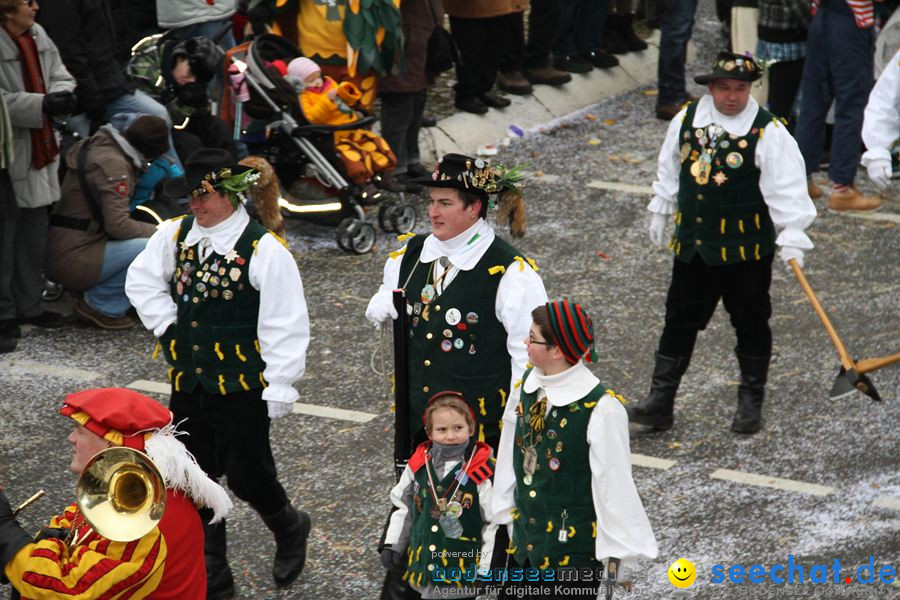 Narrentreffen: Rielasingen am Bodensee, 29.01.2012