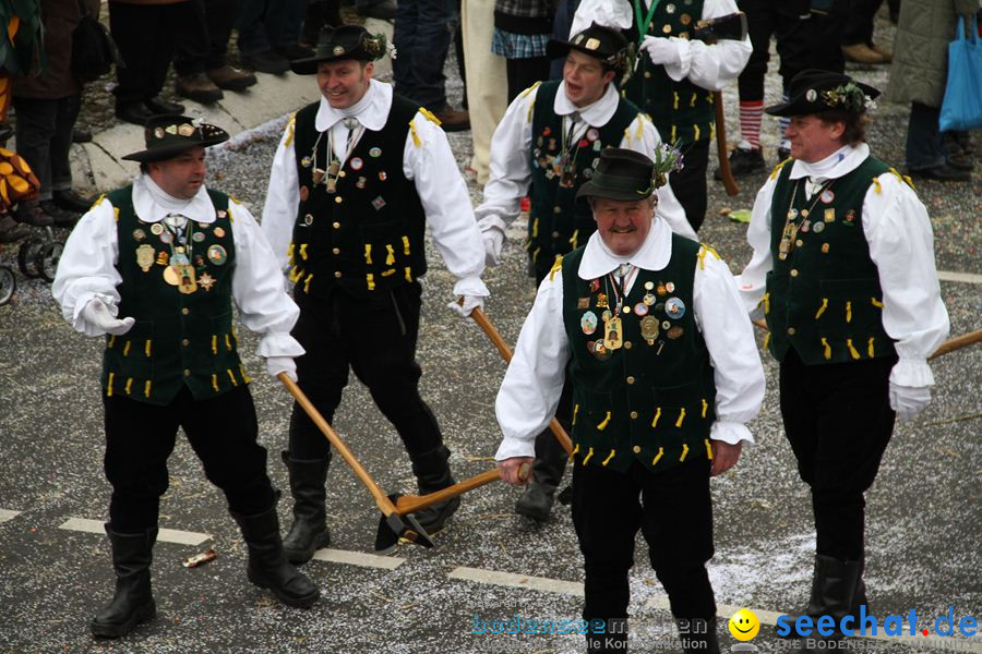 Narrentreffen: Rielasingen am Bodensee, 29.01.2012