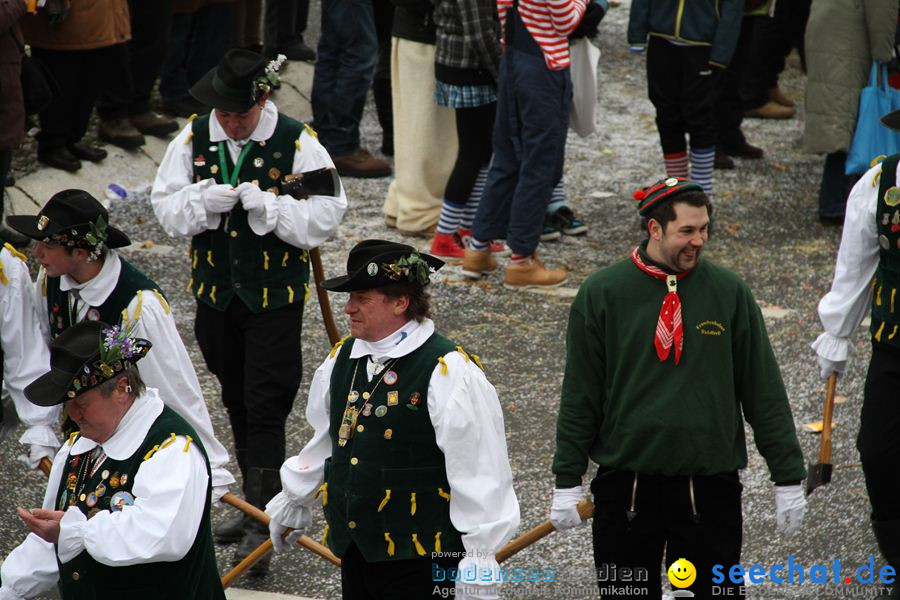 Narrentreffen: Rielasingen am Bodensee, 29.01.2012