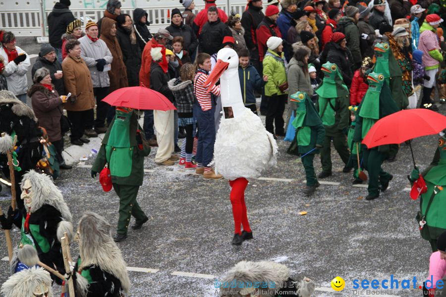 Narrentreffen: Rielasingen am Bodensee, 29.01.2012