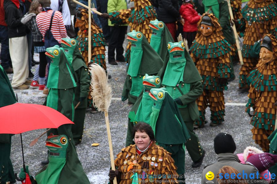 Narrentreffen: Rielasingen am Bodensee, 29.01.2012