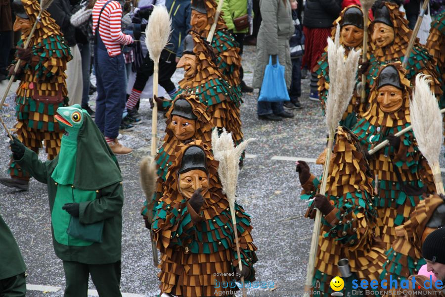 Narrentreffen: Rielasingen am Bodensee, 29.01.2012