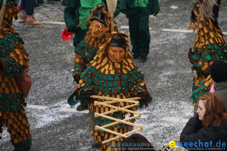 Narrentreffen: Rielasingen am Bodensee, 29.01.2012