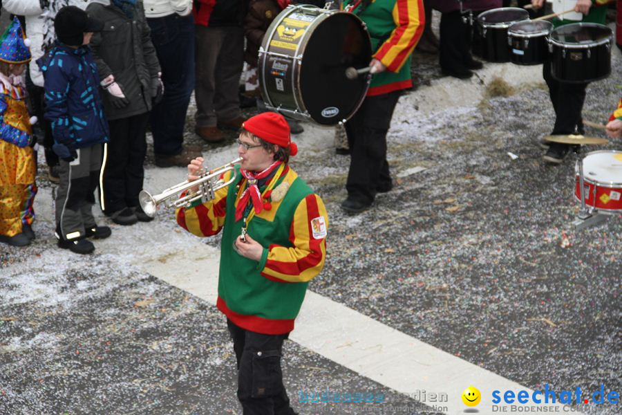 Narrentreffen: Rielasingen am Bodensee, 29.01.2012