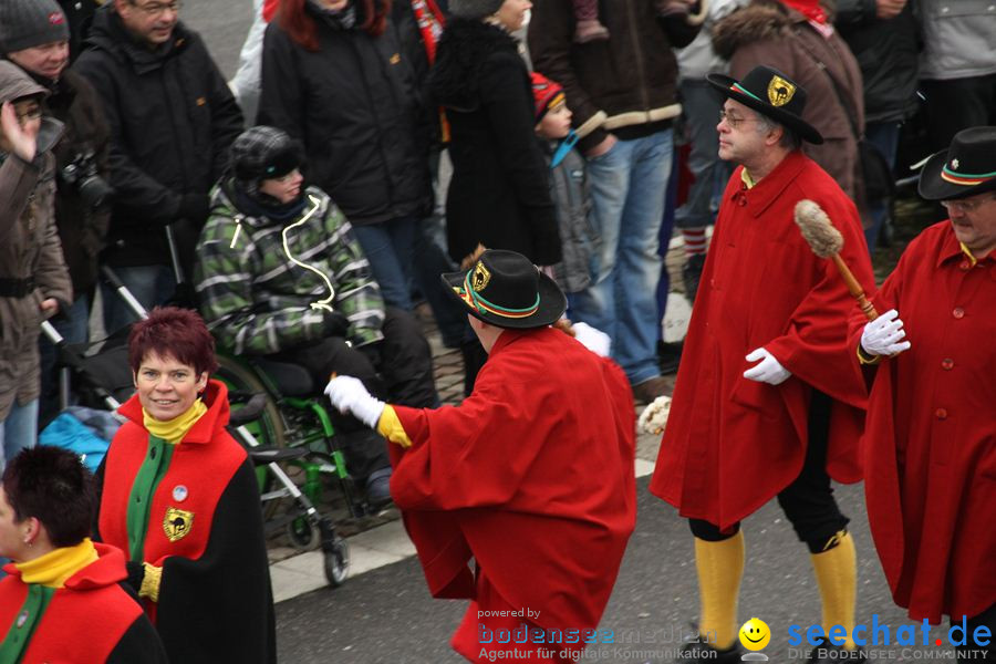 Narrentreffen: Rielasingen am Bodensee, 29.01.2012