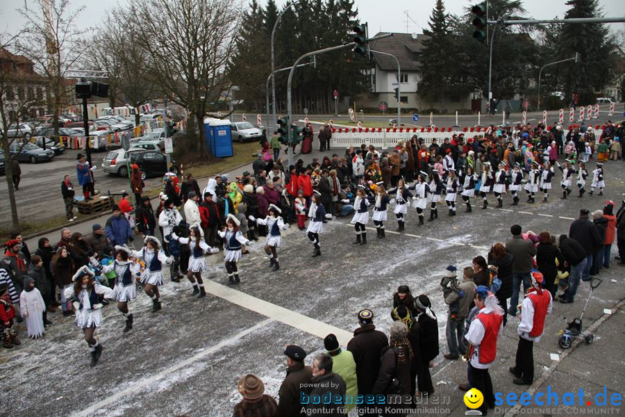 Narrentreffen: Rielasingen am Bodensee, 29.01.2012