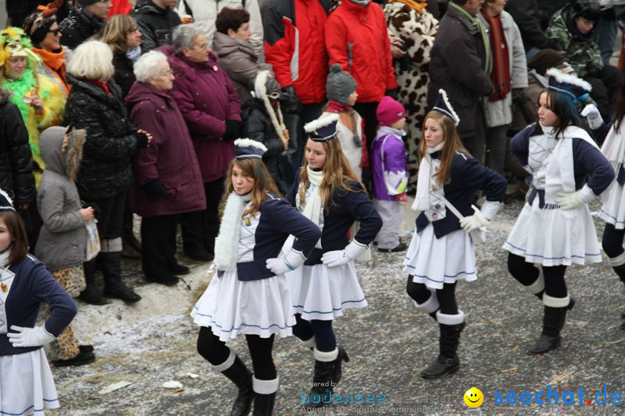 Narrentreffen: Rielasingen am Bodensee, 29.01.2012