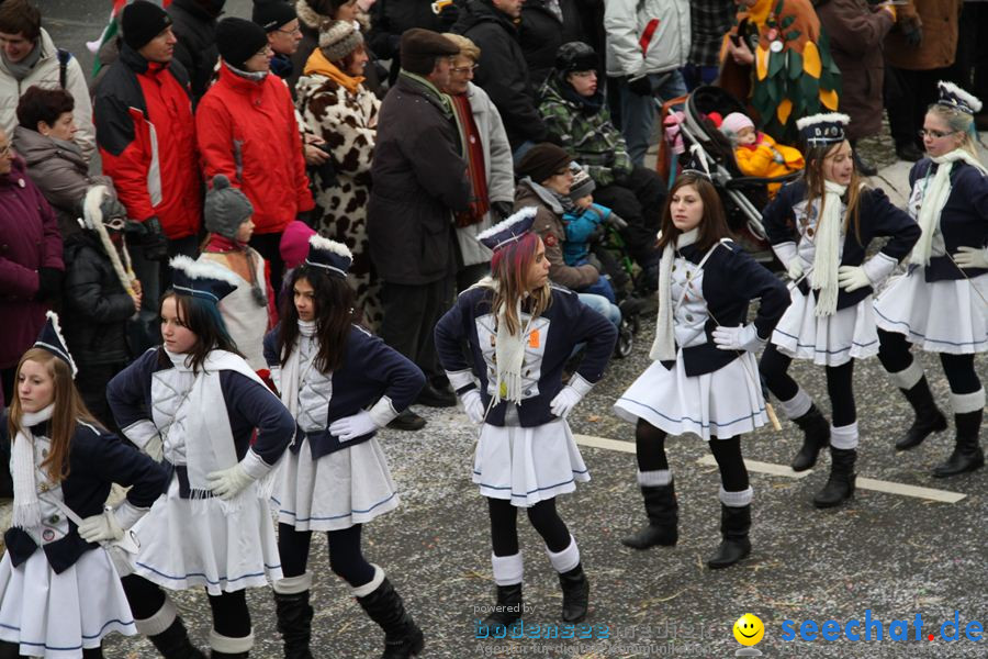 Narrentreffen: Rielasingen am Bodensee, 29.01.2012