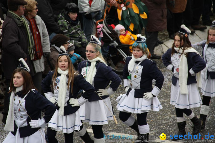 Narrentreffen: Rielasingen am Bodensee, 29.01.2012