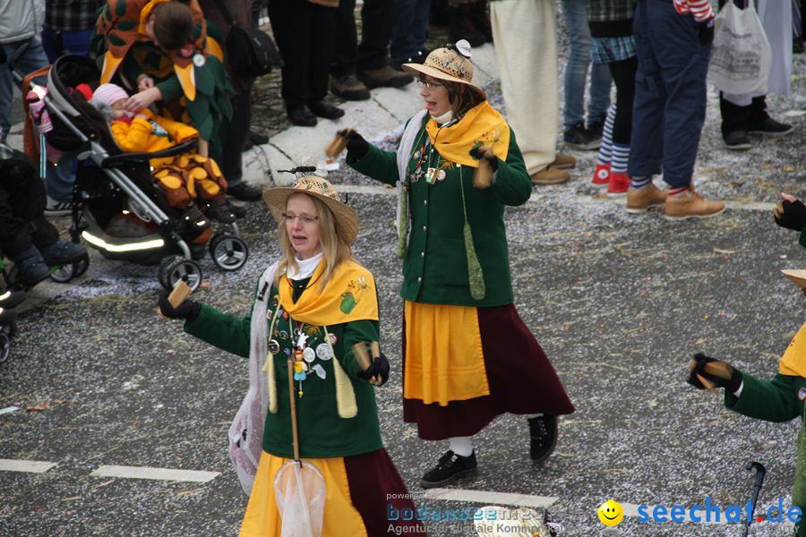 Narrentreffen: Rielasingen am Bodensee, 29.01.2012