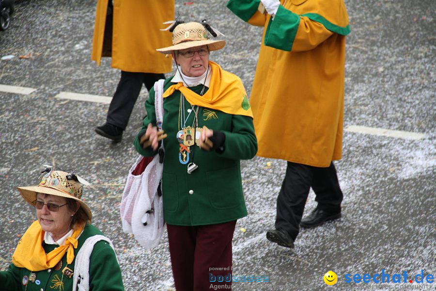 Narrentreffen: Rielasingen am Bodensee, 29.01.2012