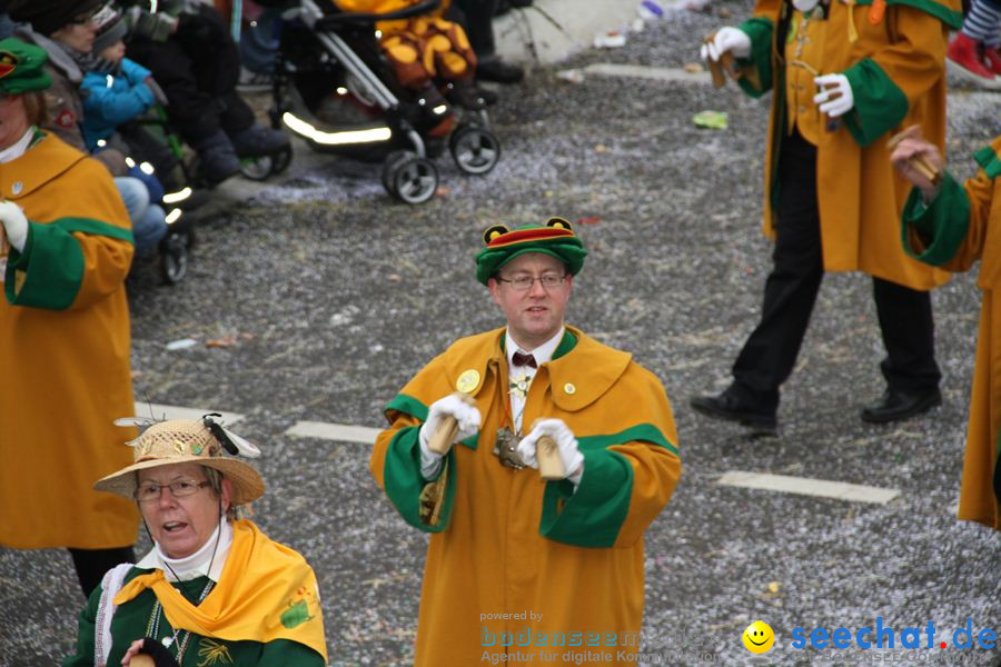 Narrentreffen: Rielasingen am Bodensee, 29.01.2012