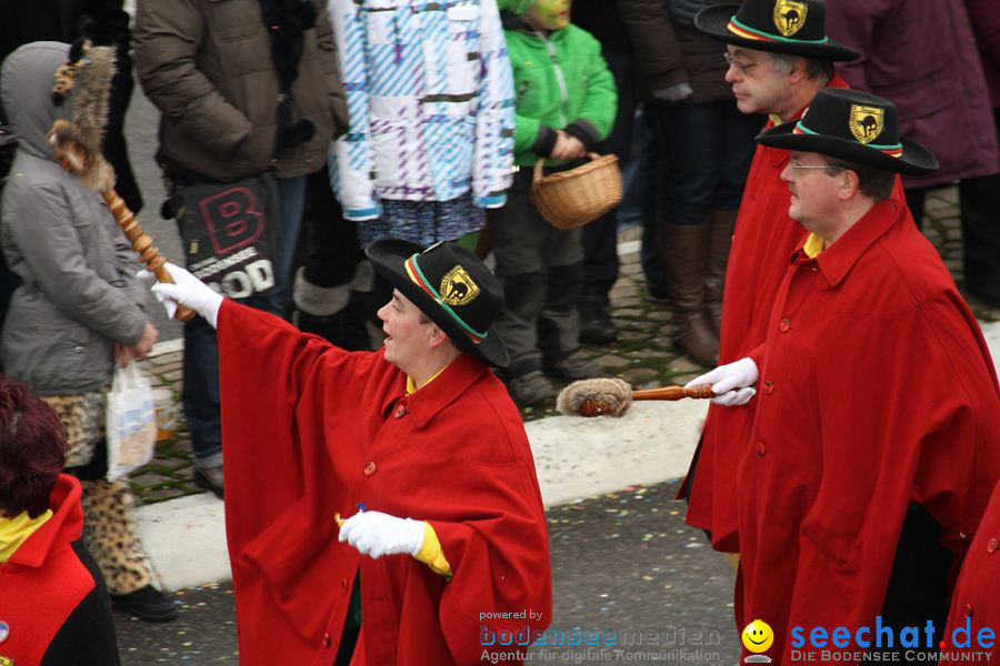 Narrentreffen: Rielasingen am Bodensee, 29.01.2012