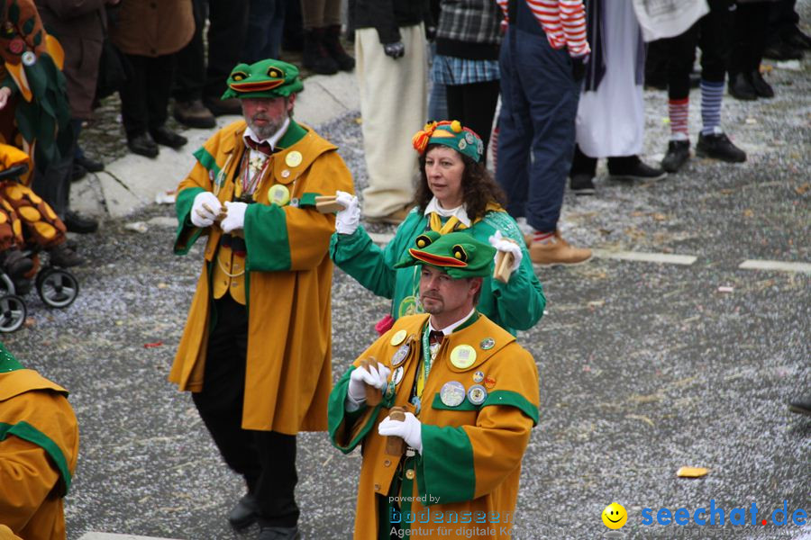 Narrentreffen: Rielasingen am Bodensee, 29.01.2012