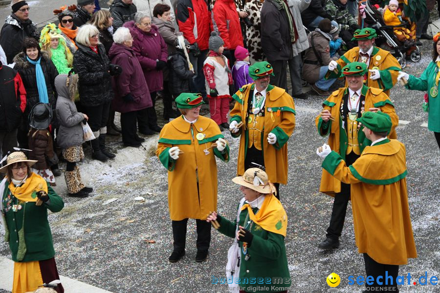 Narrentreffen: Rielasingen am Bodensee, 29.01.2012