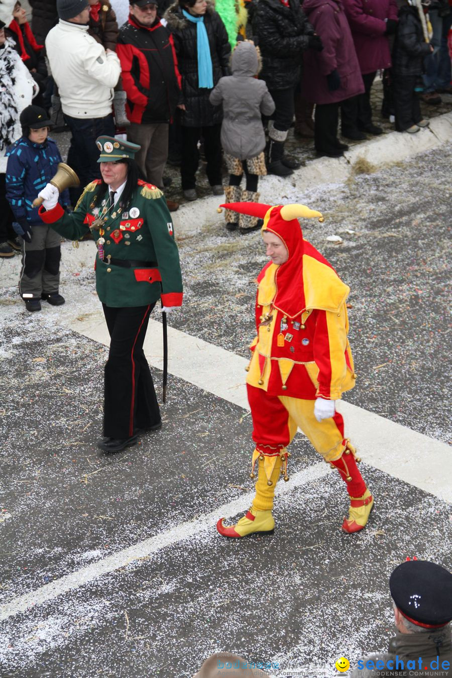 Narrentreffen: Rielasingen am Bodensee, 29.01.2012