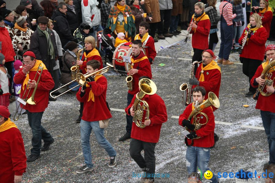 Narrentreffen: Rielasingen am Bodensee, 29.01.2012