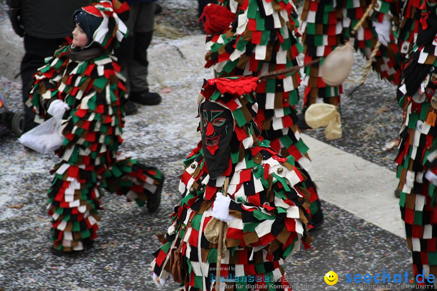 Narrentreffen: Rielasingen am Bodensee, 29.01.2012