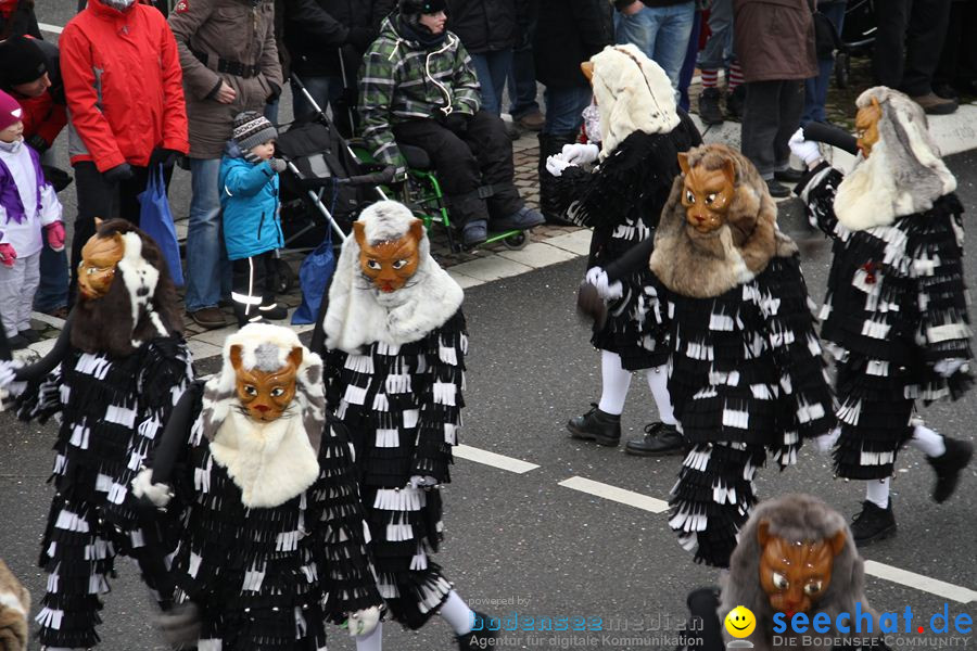 Narrentreffen: Rielasingen am Bodensee, 29.01.2012