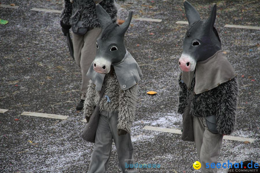 Narrentreffen: Rielasingen am Bodensee, 29.01.2012