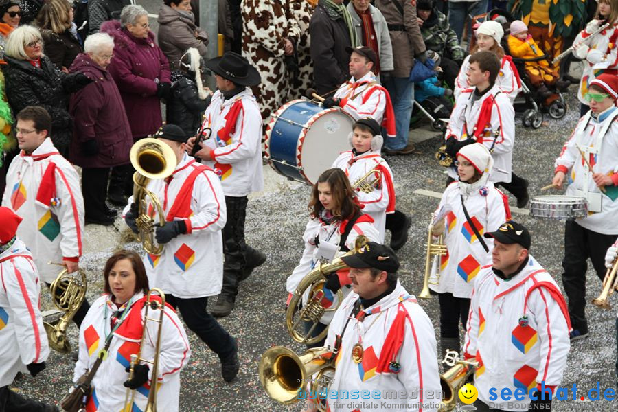 Narrentreffen: Rielasingen am Bodensee, 29.01.2012