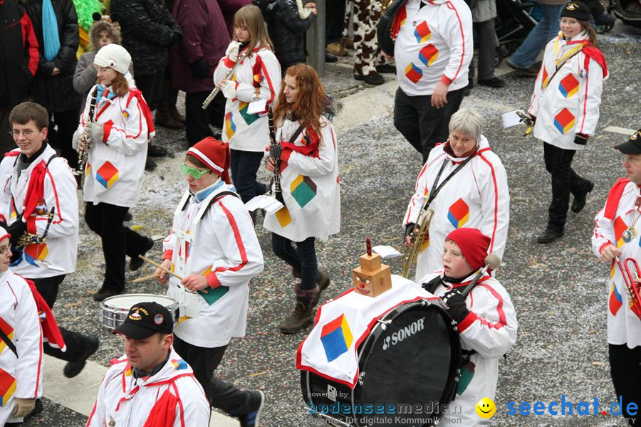 Narrentreffen: Rielasingen am Bodensee, 29.01.2012