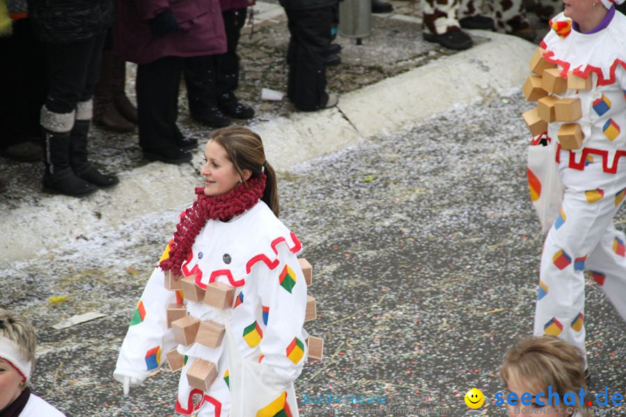 Narrentreffen: Rielasingen am Bodensee, 29.01.2012