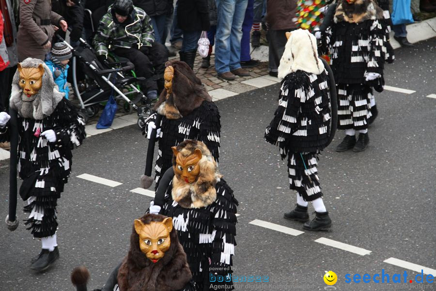 Narrentreffen: Rielasingen am Bodensee, 29.01.2012