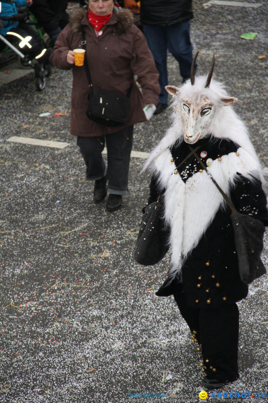 Narrentreffen: Rielasingen am Bodensee, 29.01.2012