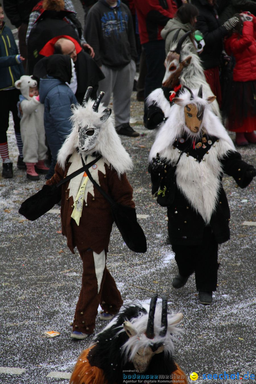 Narrentreffen: Rielasingen am Bodensee, 29.01.2012