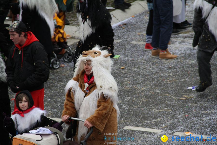 Narrentreffen: Rielasingen am Bodensee, 29.01.2012