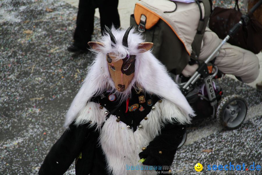 Narrentreffen: Rielasingen am Bodensee, 29.01.2012