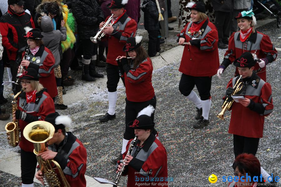 Narrentreffen: Rielasingen am Bodensee, 29.01.2012