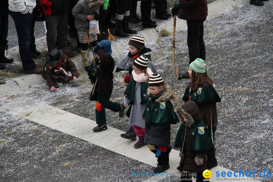 Narrentreffen: Rielasingen am Bodensee, 29.01.2012