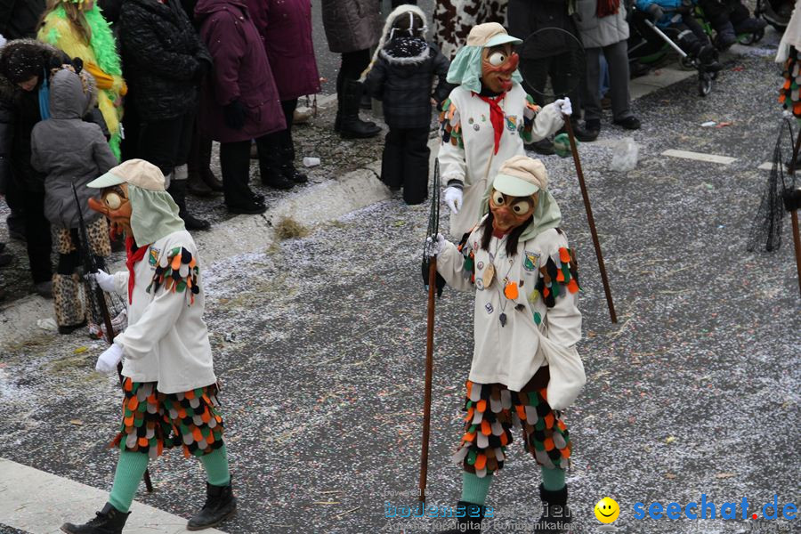 Narrentreffen: Rielasingen am Bodensee, 29.01.2012